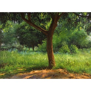 Abu Hanzla, 36 x 48 Inch, Oil on Canvas, Landscape Painting, AC-ABH-003